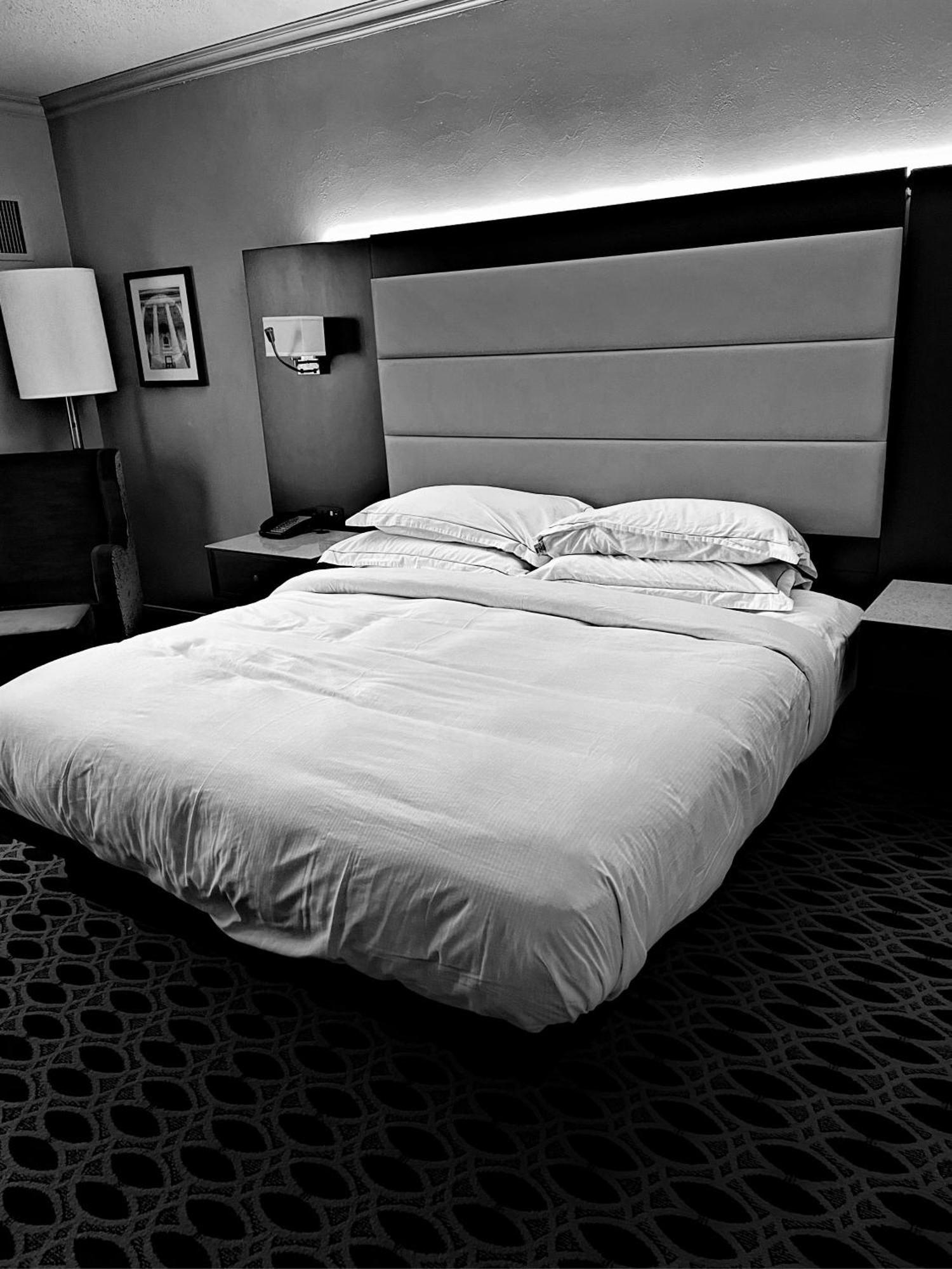 Hotel Ambience Plaza Jmd - Delhi Airport New Delhi Exteriör bild